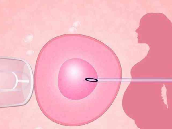 试管移植囊胚着床时间在1-2天，与质量等级是否有关快来瞧