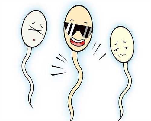 上海捐卵试管有无风险,上海捐卵多少钱-试管代孕哪家医院-代孕医院推荐