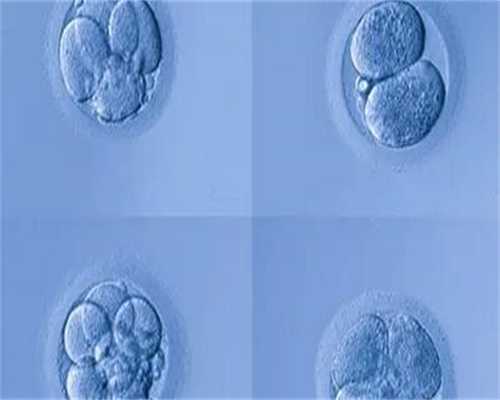 天津哪里可以做供卵试管婴儿,做试管婴儿对女人有哪些伤害-怎样计算怀孕生男