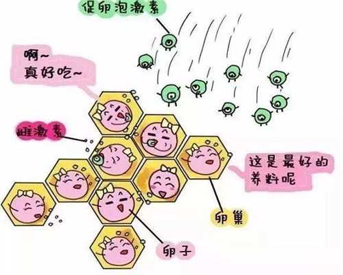 我的供卵试管经历_合法供卵,2026
长治三代供卵生男孩医院名单汇总！附供卵排