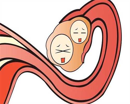 取卵第三天胚胎等级，上海同性代怀官网