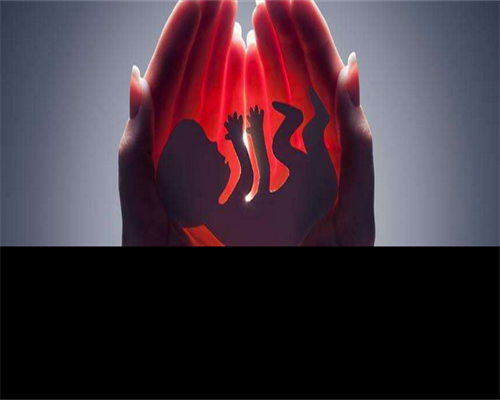 <b>-胚胎移植-医院试管代孕</b>