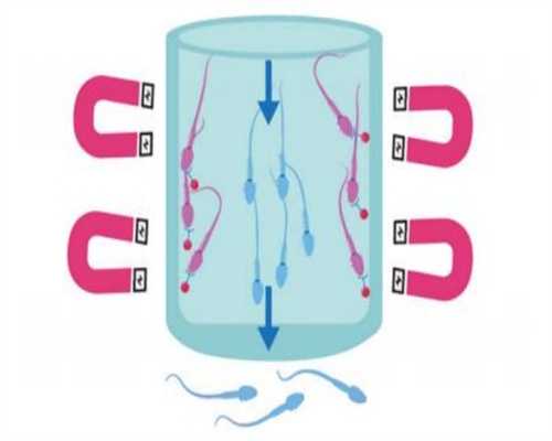 广州找女人代孕电话,广州两公司违法宣传海外代孕生子被查-供卵咨询