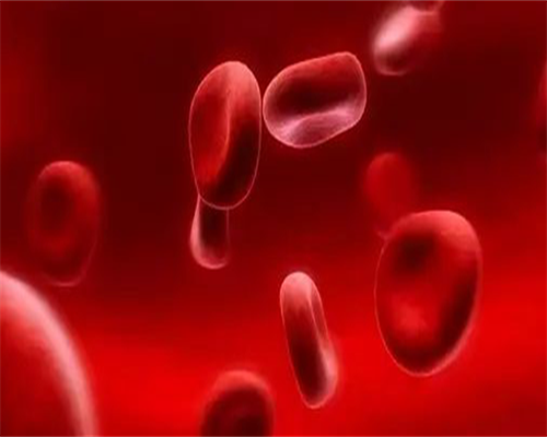 大连失独代孕-胚胎移植