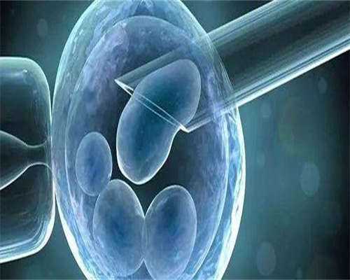 网曝某明星“代孕弃子”，代孕的孩子真的是你的吗_香港四大验血机构分别在