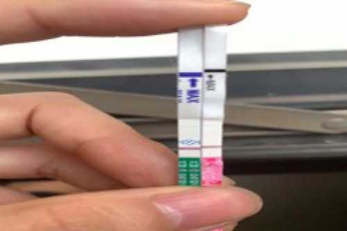 2026上海仁济医院可以做供卵试管婴儿吗?_找一个代孕网-选性别代孕套餐