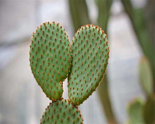 -大连代孕_代怀哪家安全