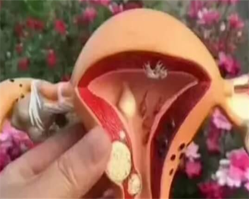 中国的合法供卵_卵巢早衰供卵群,北京正规供卵不排队公立机构名单出炉，附供