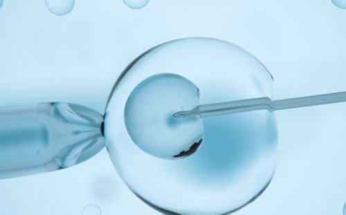 上海试管婴儿代怀生子医院排名，附试管助孕机构一览？
						