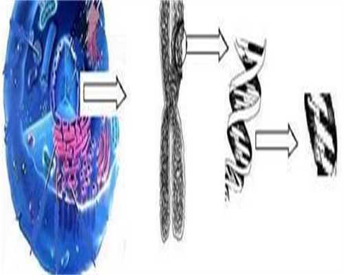 试管供卵婴儿中心_供卵国内哪家,襄樊供卵试管费用多少钱呢,七台河供卵试管费