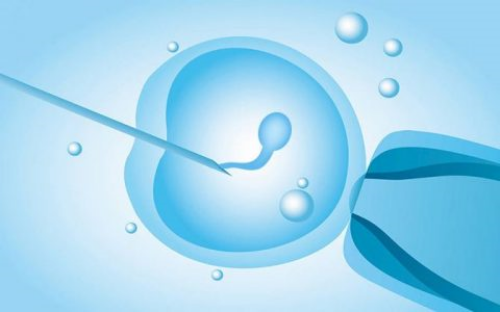 宁波借卵子自怀-大连代孕