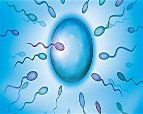 广州两公司违法宣传海外代孕生子被查,广州找女人代孕电话-2026
年放生日