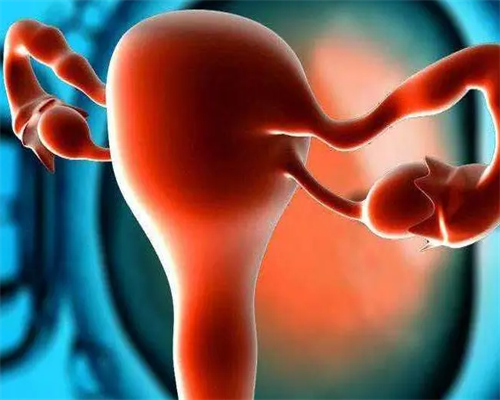 广州找女人代孕电话,广州两公司违法宣传海外代孕生子被查-放生乌龟回向文