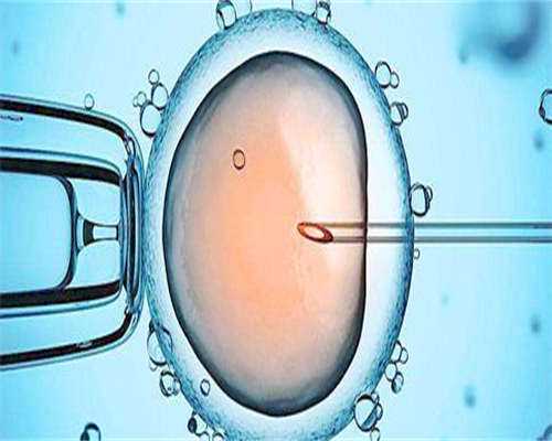 试管代怀生子助孕机构多少钱,附费用明细一览！