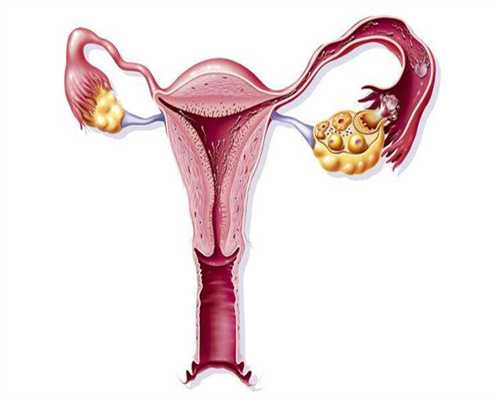 供卵多少钱金贝_三代供卵试管婴儿,台湾新竹送子鸟供卵试管(台湾送子鸟供卵试