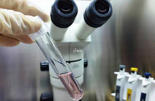 大连失独代孕_清宫表准吗