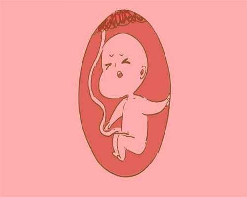 代孕中介公司_排卵期出血可否同房