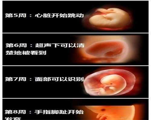 代孕流程_代孕中国官方网站