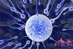 北京代孕技术-北京有没有代孕-北京代生机构包生男孩