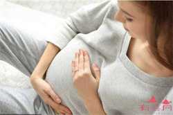 北京代孕条件，北京代孕妇女多少钱，孕早期能不能吃萝卜