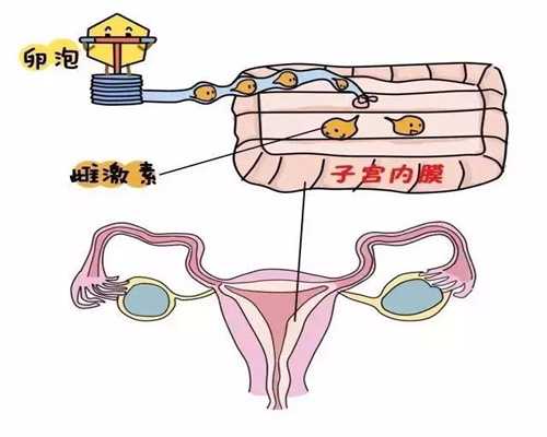 <b>北京代孕哪家机构好价格_北京助孕代孕网</b>