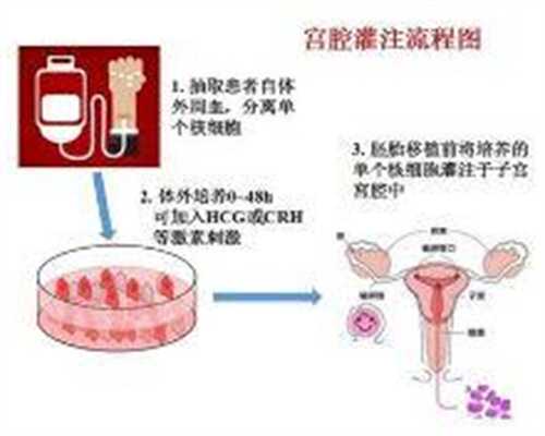 北京代孕最靠谱的公司_北京代孕公司多少钱