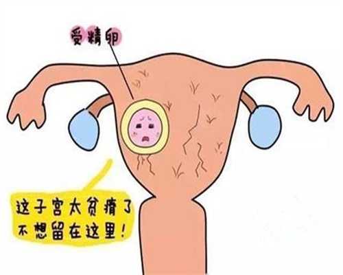 北京代孕生殖中心_北京代怀孕助孕成功率