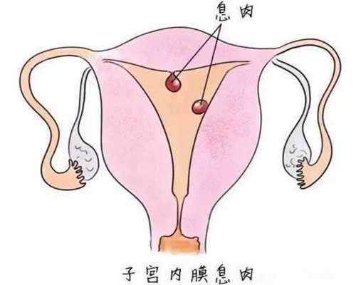 北京代孕生孩子是多少钱_北京代怀孕医生咨询