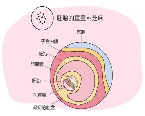 <b>北京代孕生儿子大概多少钱_北京代孕包成功价格</b>