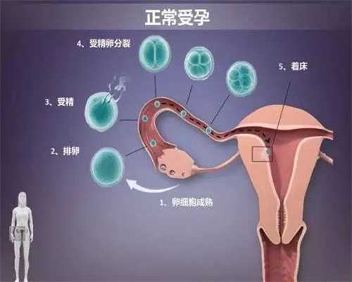 北京代孕专业机构_北京代孕生孩子的价格和流程