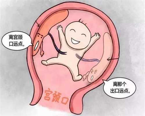 北京代孕在哪里_北京代孕代怀孕价格表