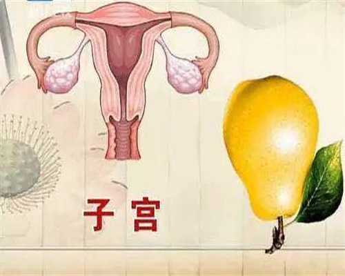 北京代怀孕2020价格北京_北京代孕网网站