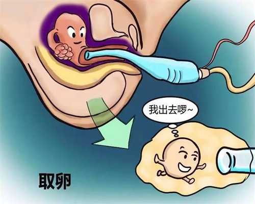 北京合法代孕费用大概多少_北京代怀宝宝哪家靠谱