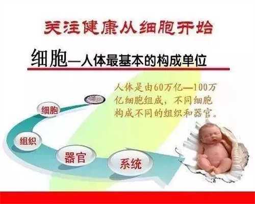 北京代孕生孩子的价格和流程_北京代孕网神州中泰代孕网