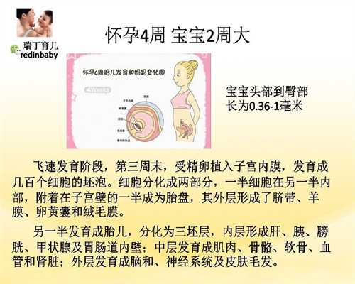 北京代孕产子费用价格_北京代孕代孕网