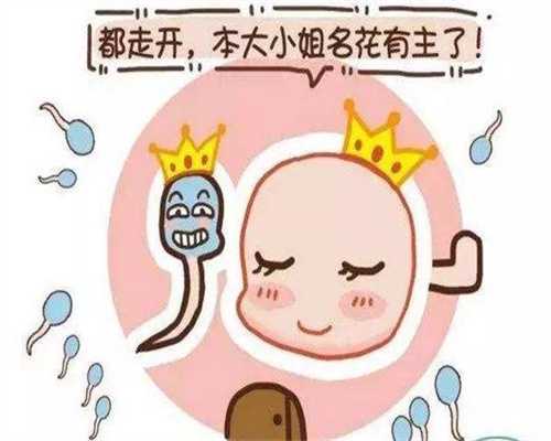 北京5A级代怀孕公司_北京代孕双胞胎的公司