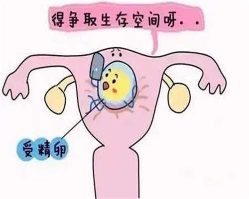 北京代孕助孕机构电话_北京代怀孕助孕价格