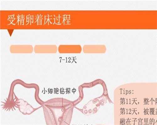 北京代孕生小孩多少钱_北京代怀孕价格表