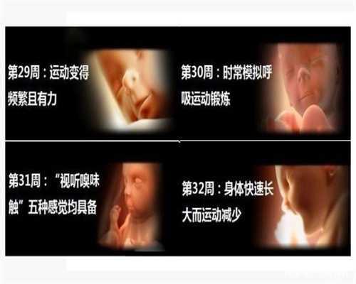 <b>北京代孕生孩子价格多少_北京代孕产子需多钱</b>