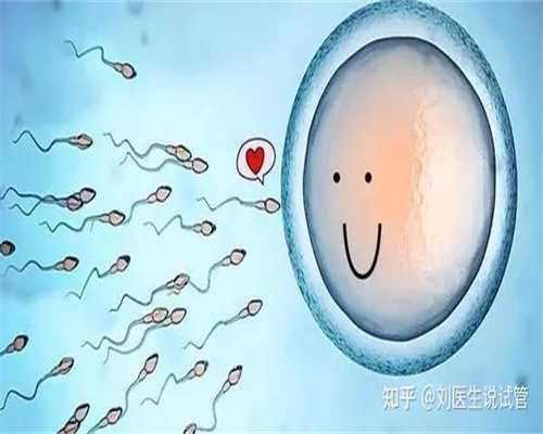 北京代孕的费用是多少_北京代孕网神州中泰代孕网