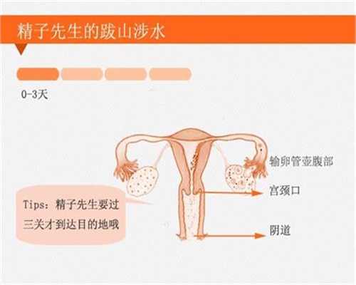北京正规代孕医院什么价格_北京代孕公司哪里专业