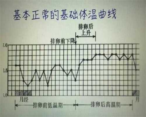 北京怎么联系上海代怀孕_北京代孕网价格表