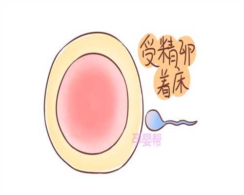 北京代孕什么价位_北京助孕代孕网