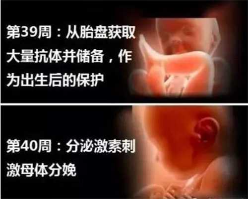 北京代孕价格表_北京2020找个女人代孕多少钱