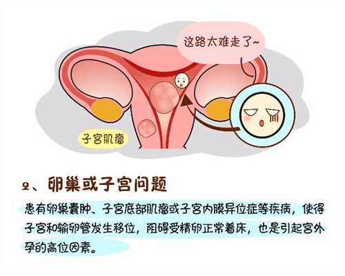 北京代怀孕助孕要求_北京代孕价格