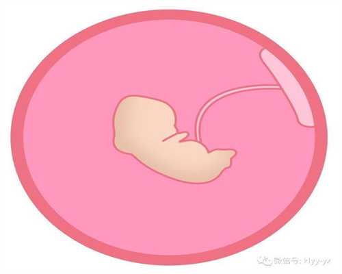 北京代孕包生儿子费用多少_北京代孕包成功龙凤胎
