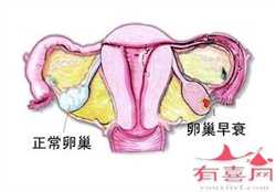 北京想找代孕怎么_北京代妈_北京疾控中心发布肺结核知识要点