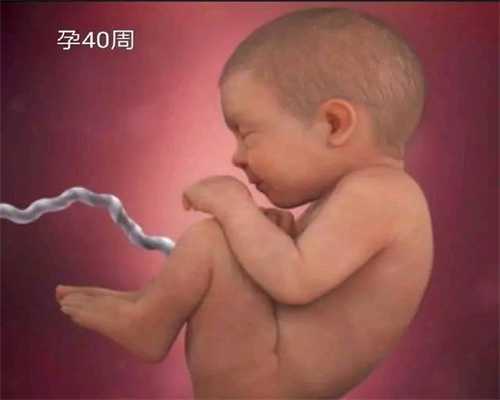 泰国供卵最好的医院-北京代孕妈妈_怎么提高试管怀孕率？北京哪个医院做试管