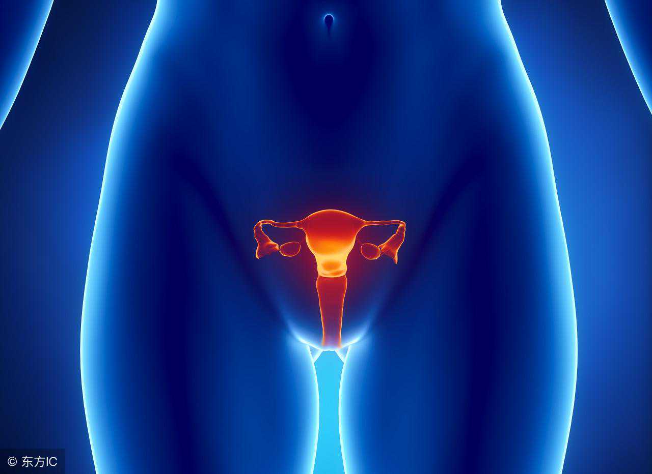 北京代孕医院的故事_子宫肌瘤与“肝功能”有关 5大饮食原则可改善